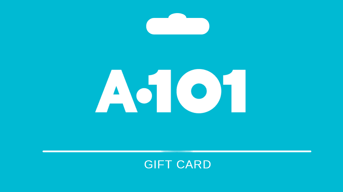 A.101